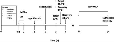Ultra-Short Duration Hypothermia Prevents Intracranial Pressure Elevation Following Ischaemic Stroke in Rats